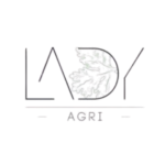 Carte Instagram - 33